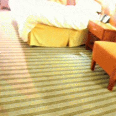 Sleezey perverted CEO series pack deal